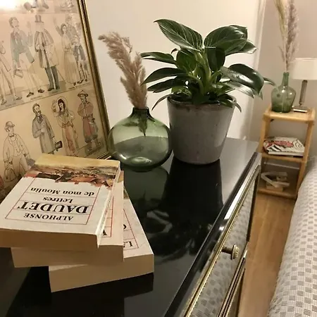 Le Madeline Apartment Nantes