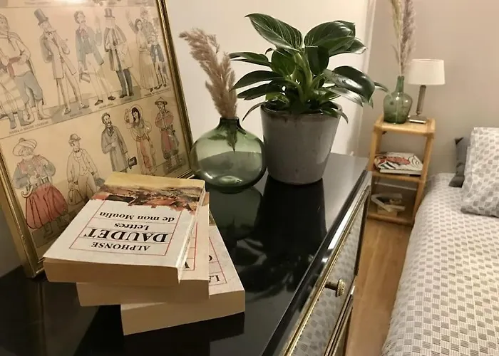 Le Madeline Appartement Nantes